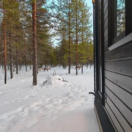 Fell Village 8 With A Mountain View, Fireplace, Sauna, Kitchen Tatil Evi